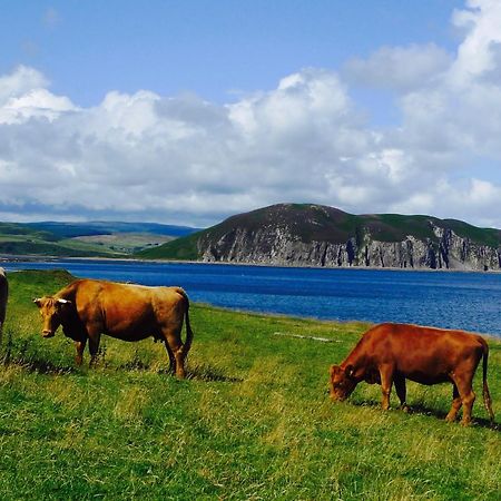 Rural Farmhouse On Kintyre, West Coast Hidden Gem Kildalloig المظهر الخارجي الصورة