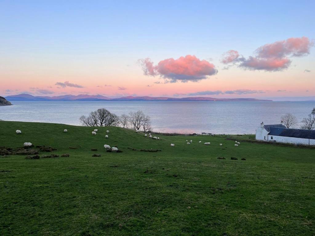 Rural Farmhouse On Kintyre, West Coast Hidden Gem Kildalloig المظهر الخارجي الصورة
